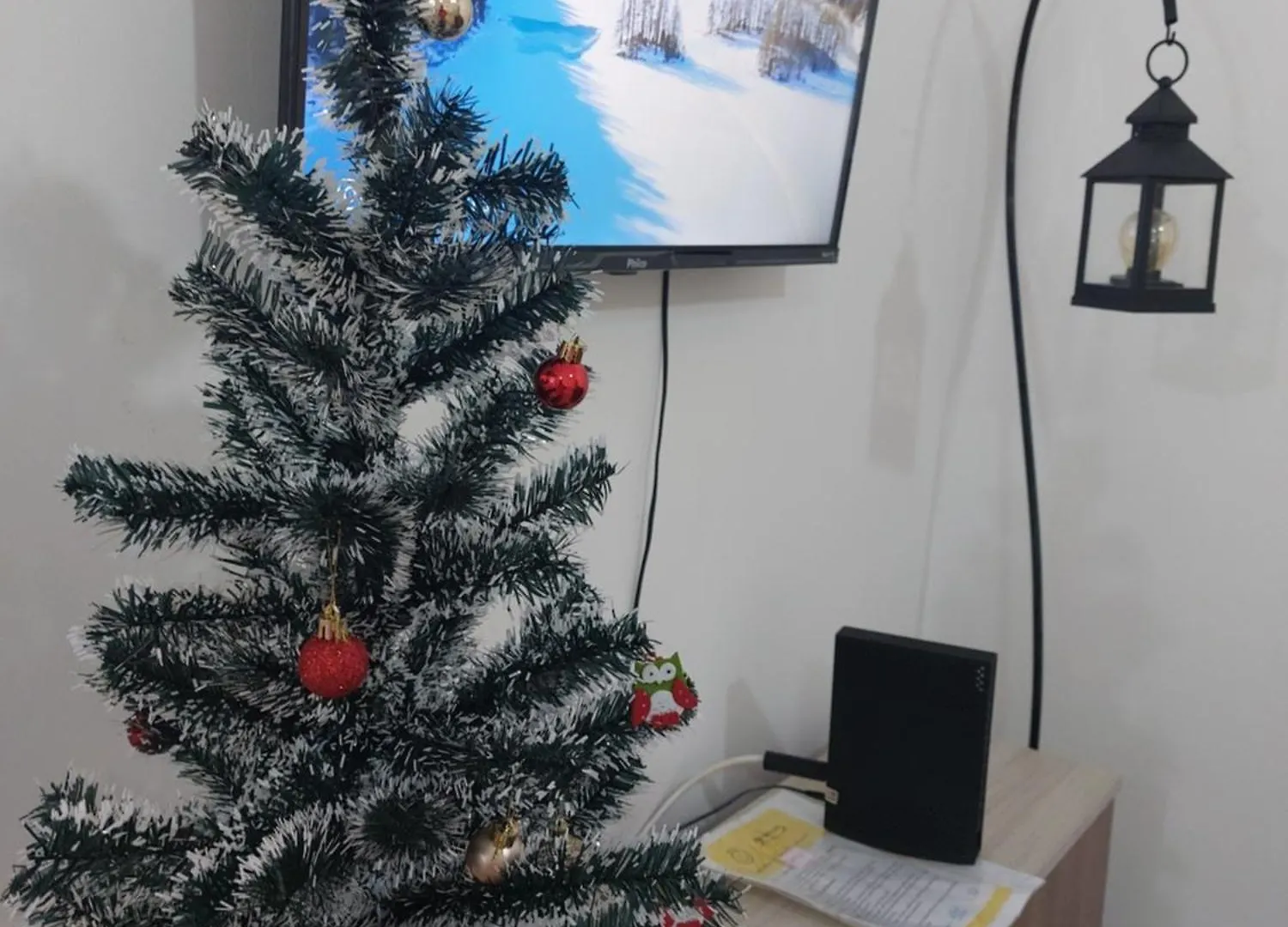 Apartamento No Centrinho Da Praia Dos Ingleses Florianopolis Apartment
